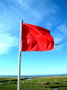 Red Flag for Dating